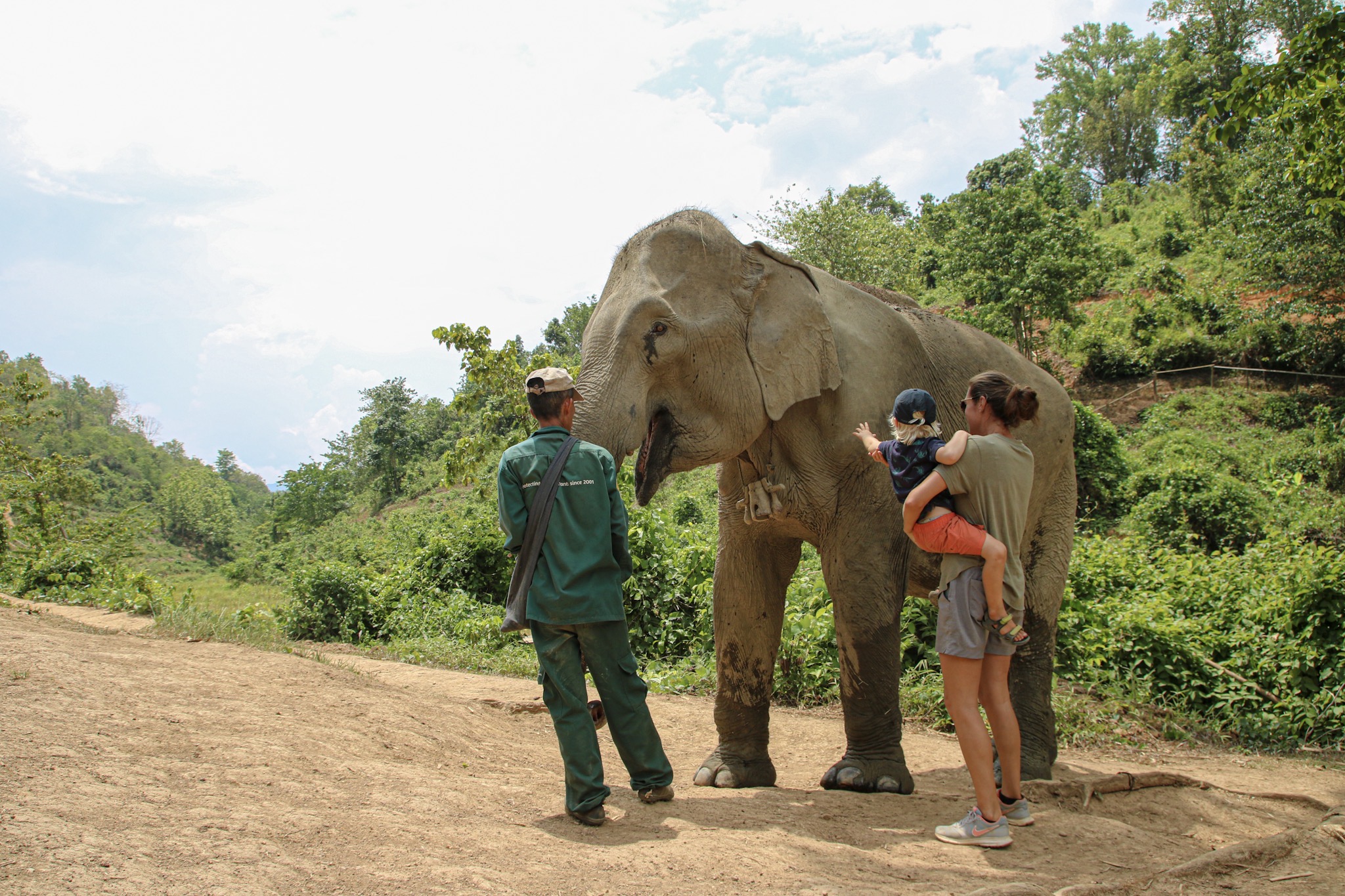 Elephant conservation centre: Staying in Sayaboury, Laos.